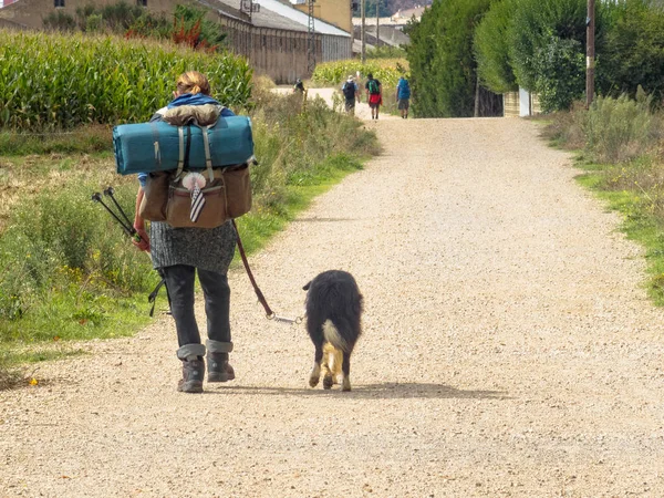 Camino hacı Astorga - San Justo de la Vega, Kastilya ve Leon, İspanya, 23 Eylül 2014 köpeğiyle