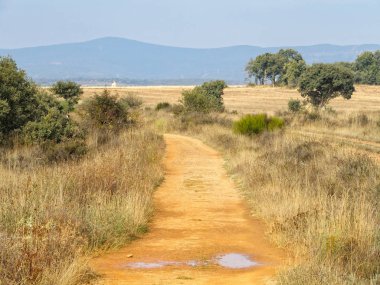 Camino parça yaklaşımlar dağlar - El Ganso, Kastilya ve Leon, İspanya