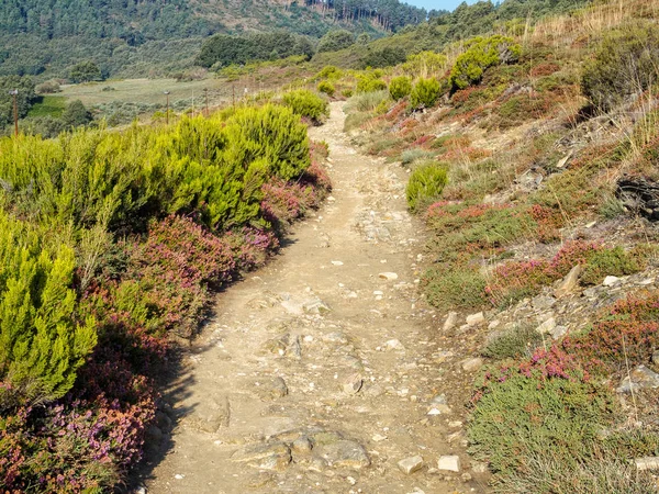 Piste Camino Près Punto Alto Manjarin Castille Léon Espagne — Photo