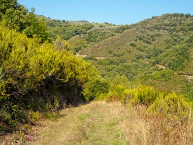 Camino Dragonte Villafrance del Bierzo ve Herrerias - Pereje, Kastilya ve Leon, İspanya arasında bozulmamış güzelliği
