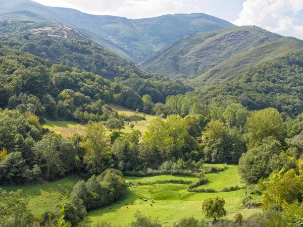 Prado Exuberante Vale Rodeado Por Montanhas Magníficas Vilasinde Castela Leão — Fotografia de Stock