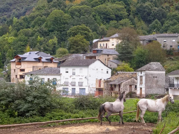 Pilgrims Can Rent Horses Ride Cebreiro Las Herrerias Castile Leon — Stock Photo, Image
