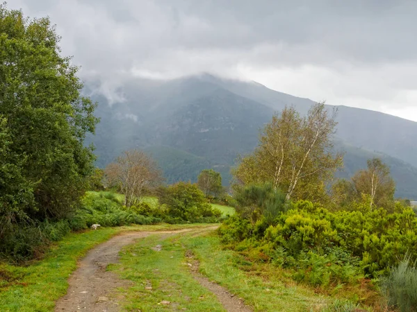 Piste Boueuse Camino Dans Après Midi Pluvieux Automne Fonfria Galice — Photo