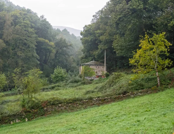 Farmhouse Lush Green Wet Foggy Valley Triacastela Galicia Spain — Stock Photo, Image
