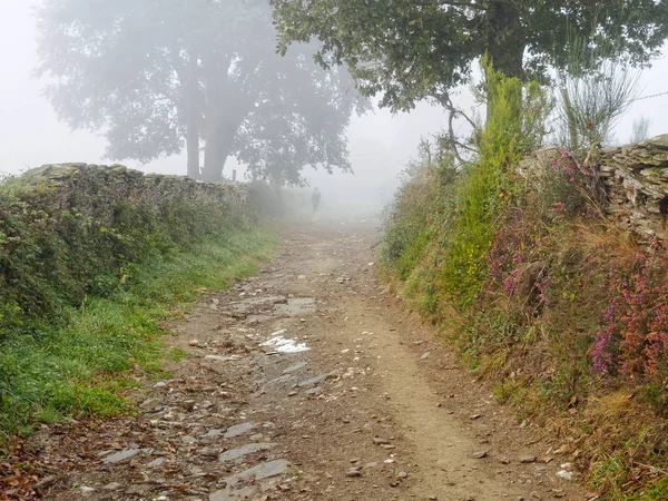 Pèlerin Solitaire Disparaît Dans Brouillard Matinal San Xil Galice Espagne — Photo