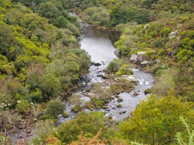 Xallas nehire yakın onun kökeni - Olveiroa, Galiçya, İspanya