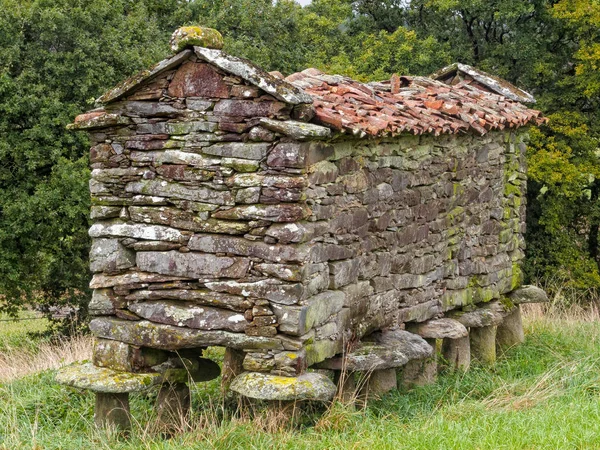 Granero Piedra Seca Horreo Símbolo Oficial Galicia Vilarserio Galicia España — Foto de Stock