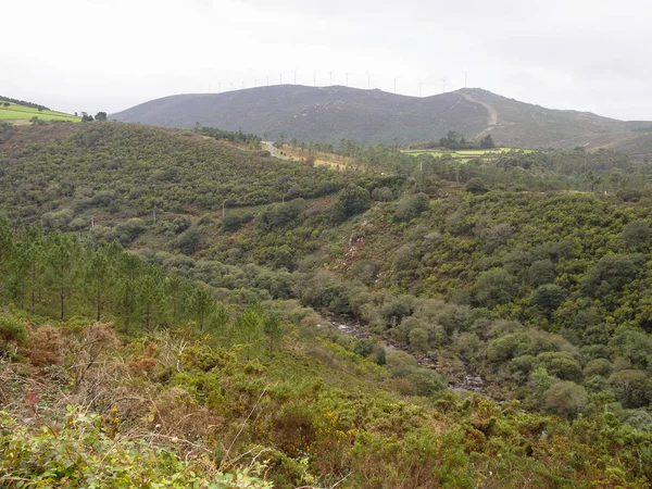 Vale Rio Xallas Nublado Manhã Outono Olveiroa Galiza Espanha — Fotografia de Stock