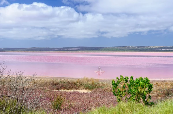 Pink Lake - Gregory Royalty Free Stock Photos