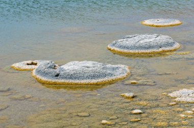 Stromatolites - Thetis Gölü