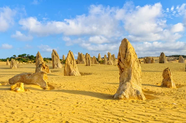Nambung Milli Parkı'ndaki Pinnacles Çölü - Cervantes