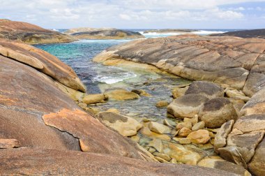 Elephant Cove - Danimarka