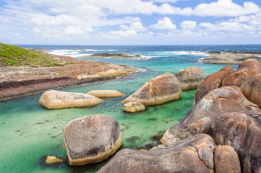 Elephant Cove - Danimarka