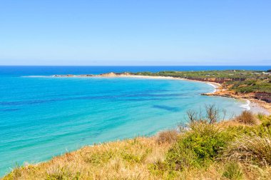 View from the Loveridge Lookout - Anglesea clipart