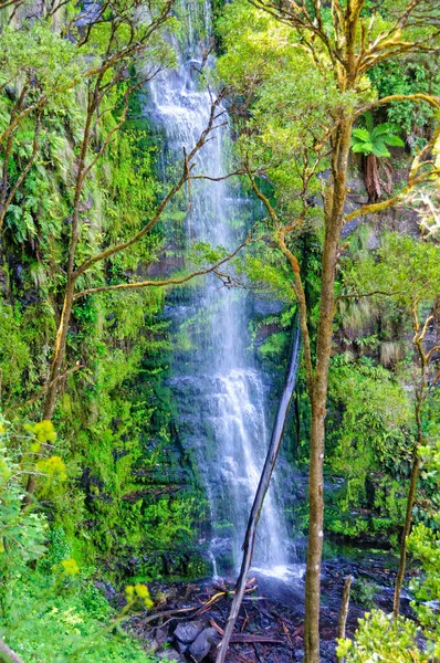 Chutes Erskine - Lorne — Photo