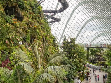 Bulut Ormanı 35 metre yüksekliğinde, cam çatı altında yemyeşil bir bitki örtüsüyle kaplı Singapur dağıdır.