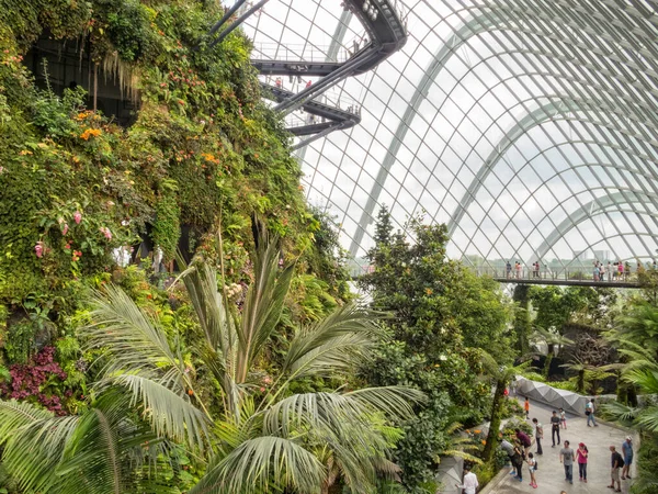 Bulut Ormanı 35 metre yüksekliğinde, cam çatı altında yemyeşil bir bitki örtüsüyle kaplı Singapur dağıdır.