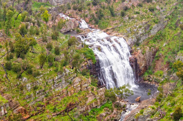 Mackenzie Falls Είναι Ένα Δημοφιλές Τουριστικό Αξιοθέατο Στα Grampians Zumsteins — Φωτογραφία Αρχείου