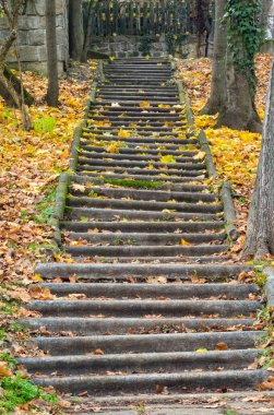 Sonbahar yapraklarıyla kaplı taş basamaklar - Szentendre, Macaristan