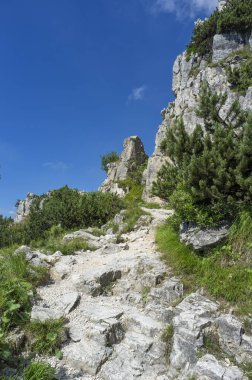 Strada delle 52 gallerie (52 galerileri Road) ı. Dünya Savaşı sırasında Pasubio (Vicenza, İtalya massif üzerinde inşa askeri bir iz olduğunu)