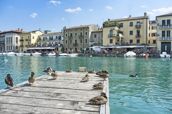 Peschiera del Garda, Italie, canards s'arrêtant sur une jetée — Photo