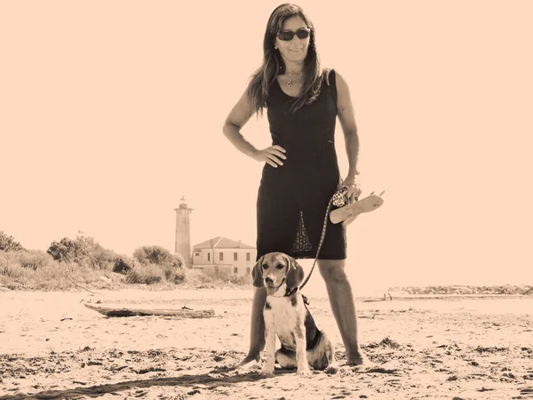 Frau Mit Hund Strand — Stockfoto