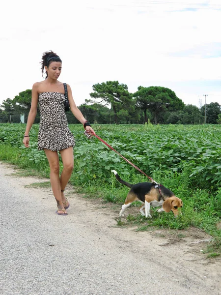 女の子は犬を散歩させ鎖につなぎ止められず — ストック写真