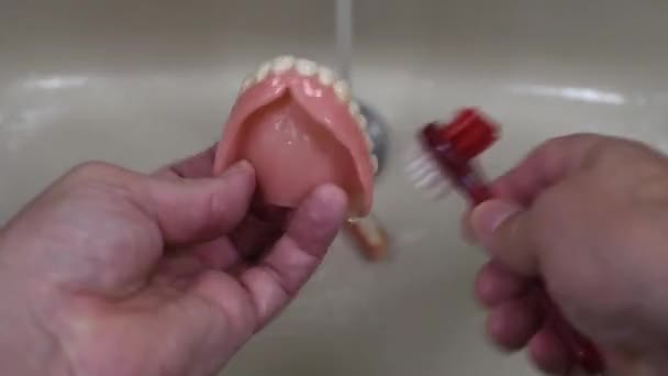 Nettoyage Prothèse Dentaire Avec Brosse Dans Évier Avec Eau Courante — Video