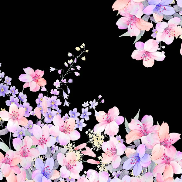 水彩バラ牡丹の花 — ストック写真
