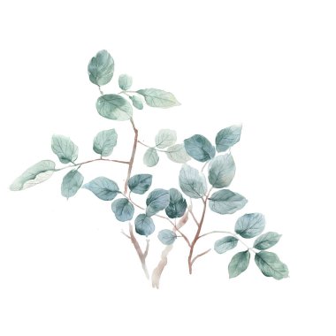  Suluboya yaprak illüstrasyon suluboya yaprak illüstrasyon