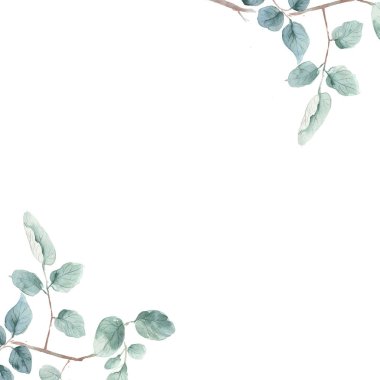  Suluboya yaprak illüstrasyon suluboya yaprak illüstrasyon