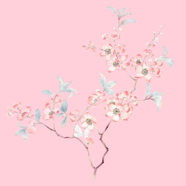 Ветви Цветы Акварели — стоковое фото