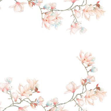 Suluboya Manolya çiçek ve dalları