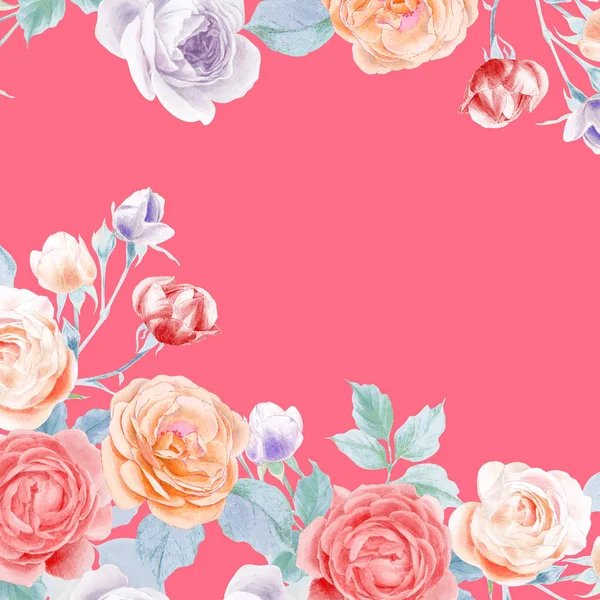 Akvarellpenna Rose Pion Blomma Och Blad — Stockfoto