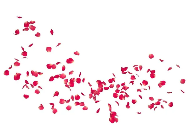 Die Blütenblätter Einer Roten Rose Fliegen Weit Die Ferne Weißer — Stockfoto