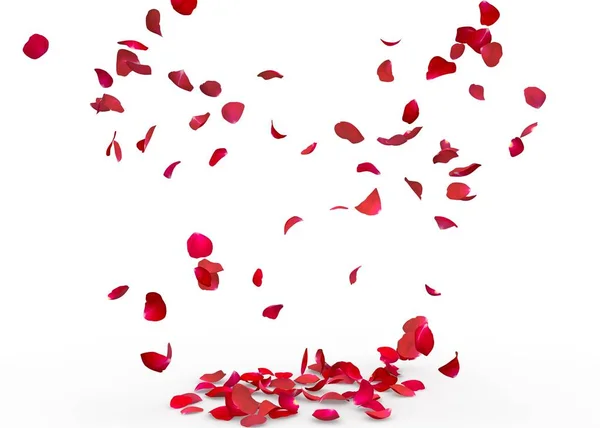 Gül yaprakları yere düşer. İzole arka plan