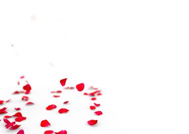 Gül yaprakları yere düşer. İzole arka plan