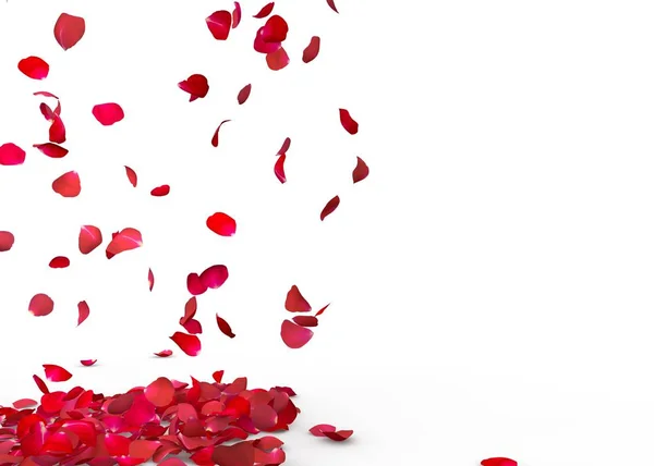 Пелюстки Троянд Падають Підлогу Ізольований Фон — стокове фото