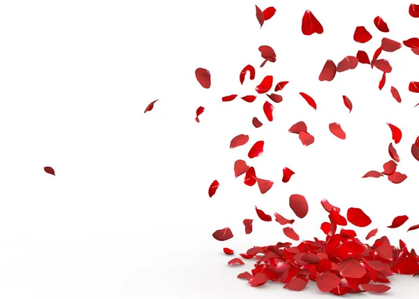 Rose Petals Fall Floor Isolated Background — Stock Photo, Image