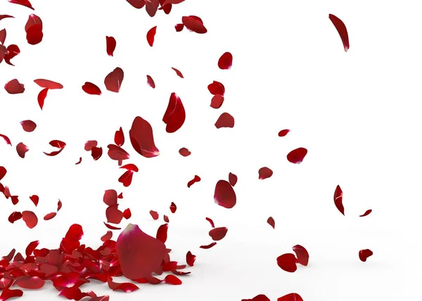 Rosenblätter Fallen Boden Isolierter Hintergrund — Stockfoto