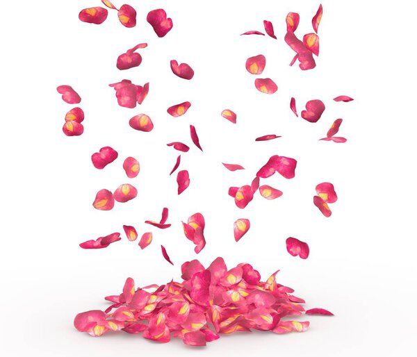 Rose petals fall to the floor. Isolated background