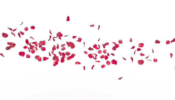 Πέταλα Του Ένα Κόκκινο Τριαντάφυλλο Πετάξει Μακριά Στην Απόσταση Λευκό — Φωτογραφία Αρχείου