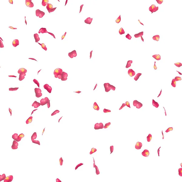 Rosenblätter Fliegen Durch Die Luft Weißer Isolierter Hintergrund — Stockfoto