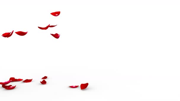 Petali Rosso Vivo Rose Che Cadono Pavimento Bianco Maschera Alfa — Video Stock