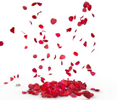 Gül yaprakları yere düşer. İzole arka plan