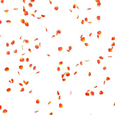 Gül yaprakları havada uçar. Arka plan beyaz izole