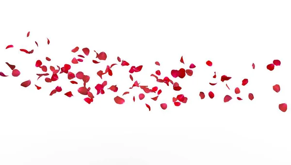 Kronbladene Rød Rose Flyve Langt Det Fjerne Hvid Isoleret Baggrund - Stock-foto