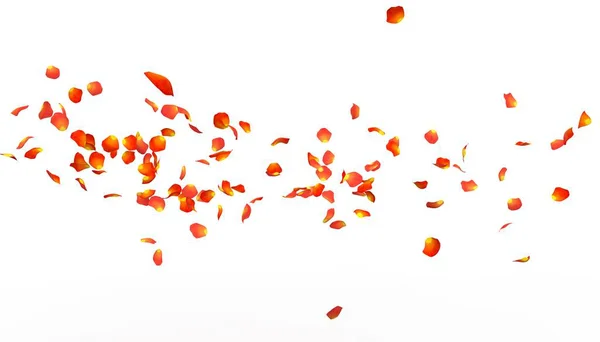 Bloemblaadjes Van Een Oranje Roze Vliegen Ver Verte Witte Achtergrond — Stockfoto