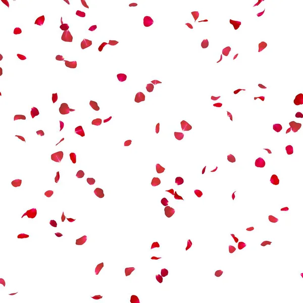 Лепестки Роз Летают Воздухе Белый Изолированный Фон — стоковое фото