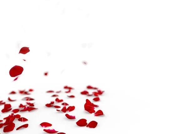 Rosenblätter Fallen Boden Isolierter Hintergrund — Stockfoto